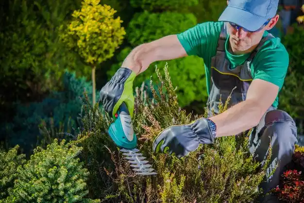 landscaping services Fowler